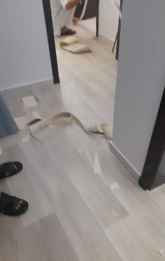 باركيه